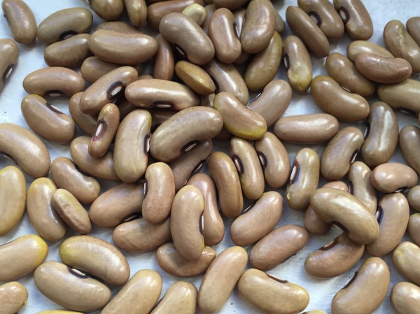 Eifelgold