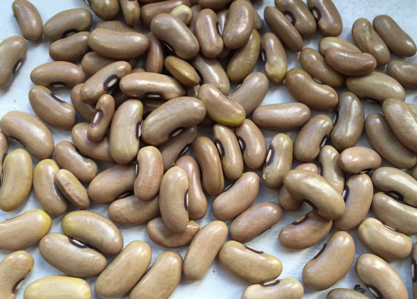 Eifelgold