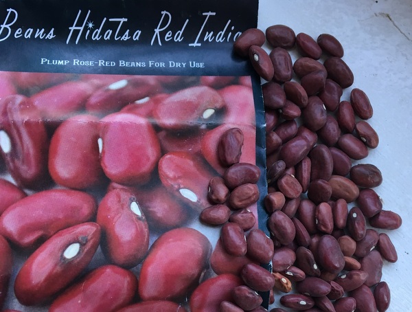 Hidatsa Red