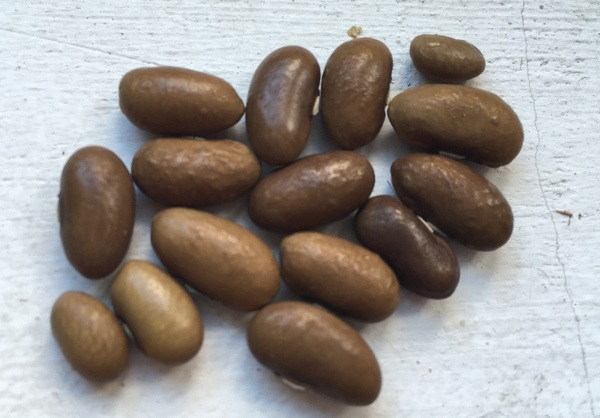 Mooreskraft