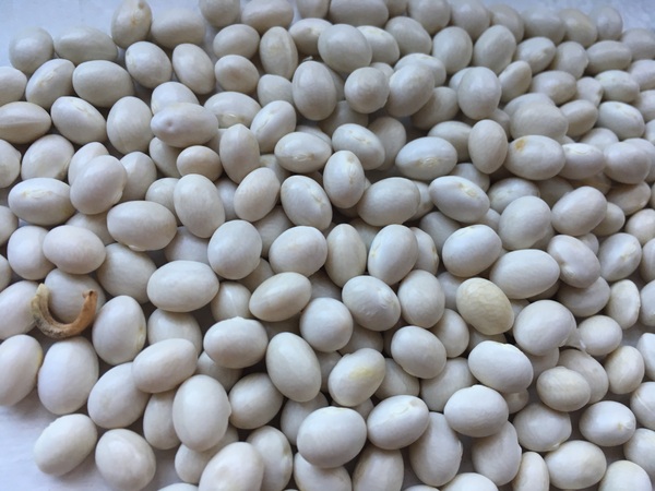 Zuckerperle
