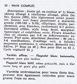 Nain Complet