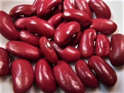 Judio Rojo