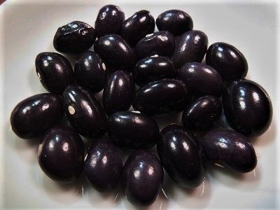 Tolosa