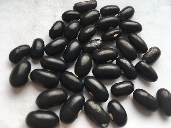 Schwarze aus schweden