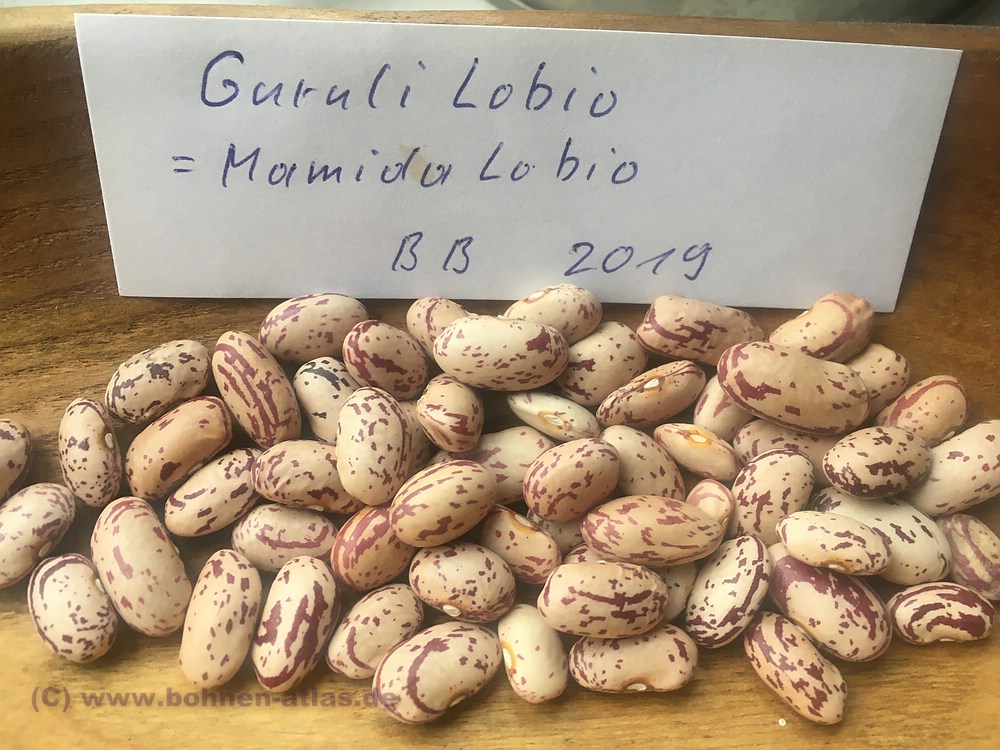 Guruli Lobio oder Mamida Lobio