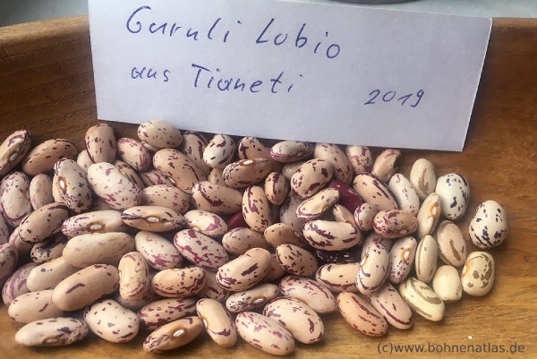 Guruli Lobio aus Tianeti