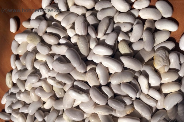 Sema's Erzincan fasulyesi