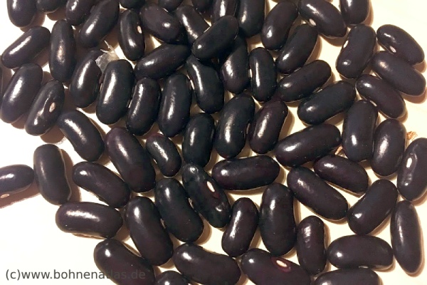 Superviolett