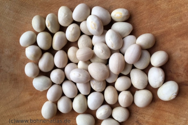 White Coco