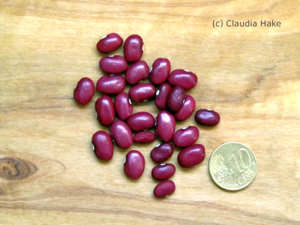 Hidatsa Red