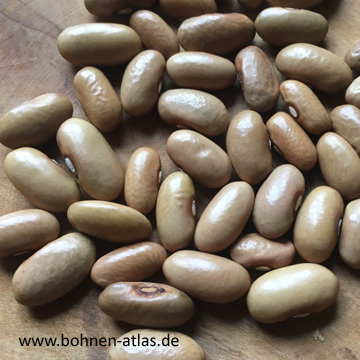 Lettland Auslese II