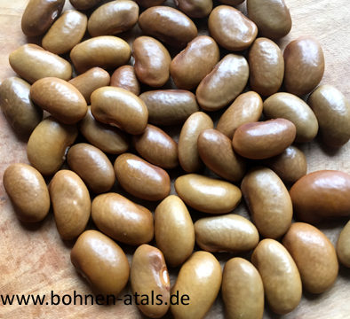 Dusslinger Braune