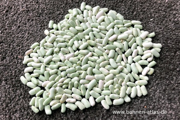 Merveille de France