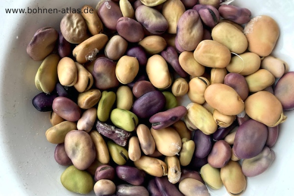 Peruanischer Mix