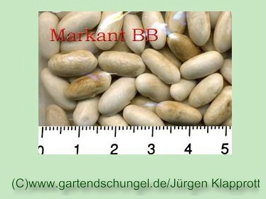 Markant