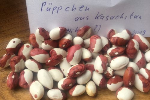 Püppchen aus Kasachstan