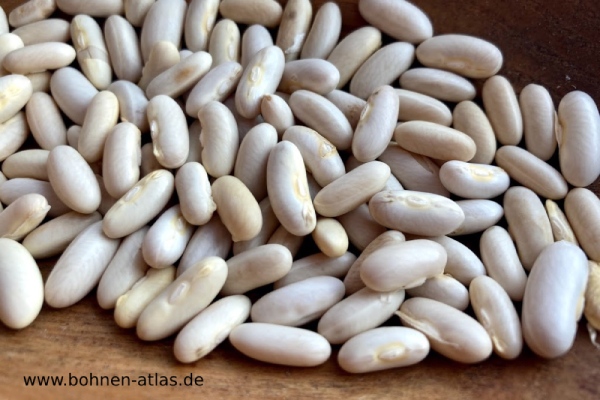 Wachsbohne aus Senden