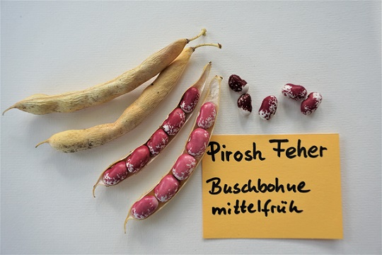 Piros Feher