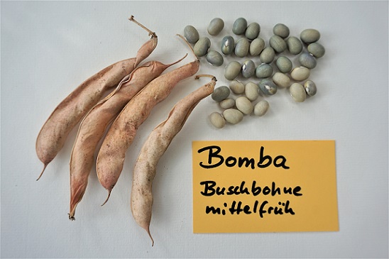 Bomba