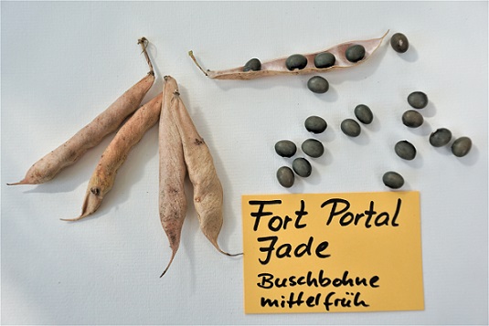 Fort Portal Jade