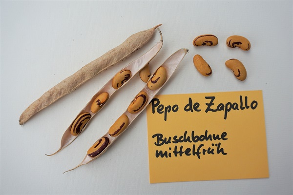 Pepa De Zaballo