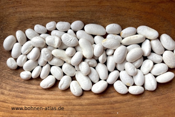 Rheinperle