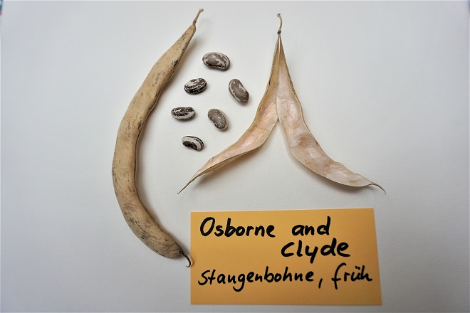 Osborne and Clyde
