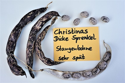 # Christinas dicke Sprenkel (Unbekannte)