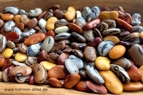 Tante Irmels Bohnen