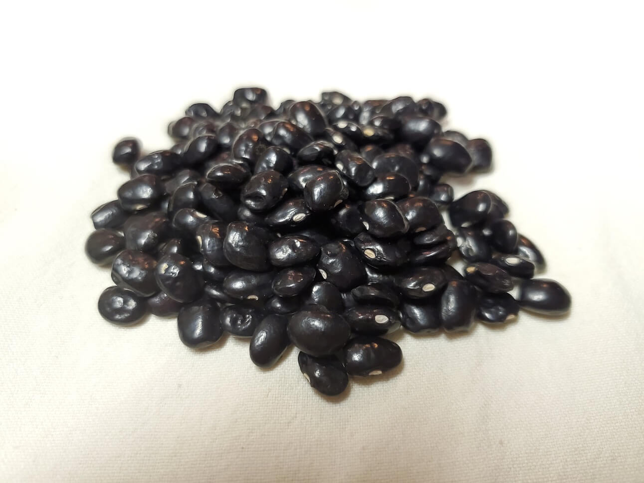Black Cutshort