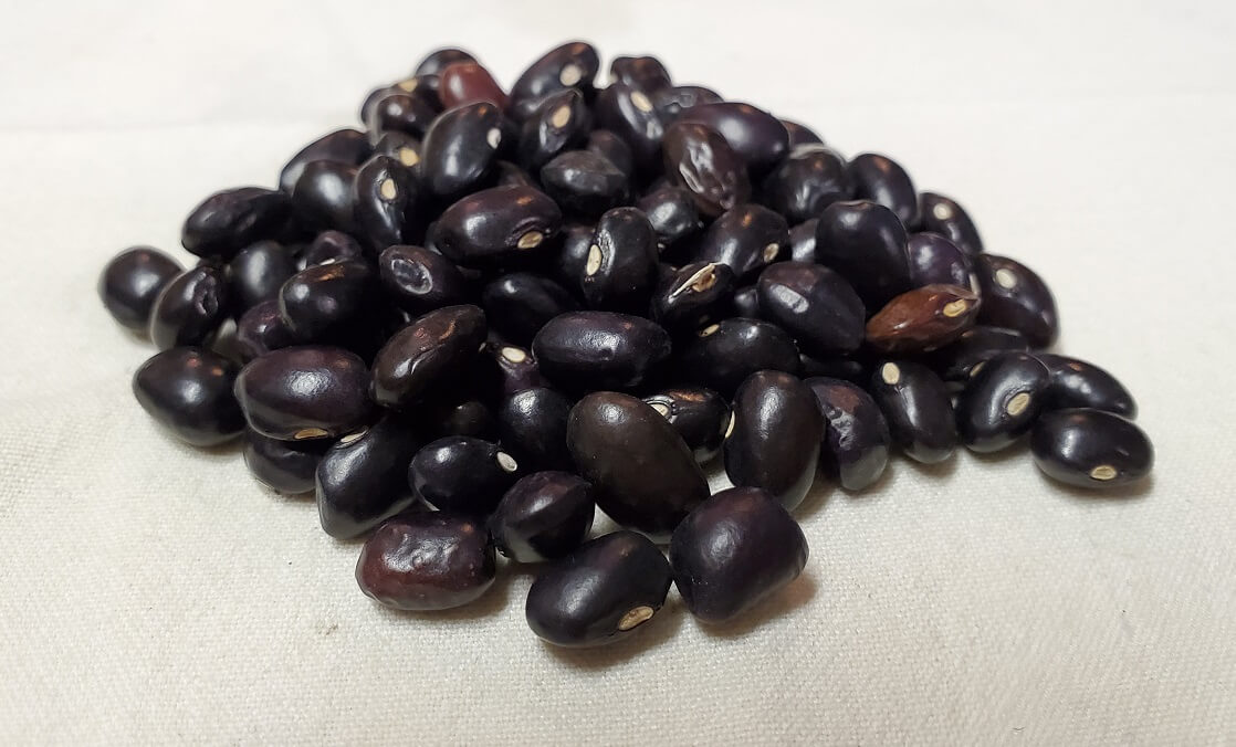 Black Greasy