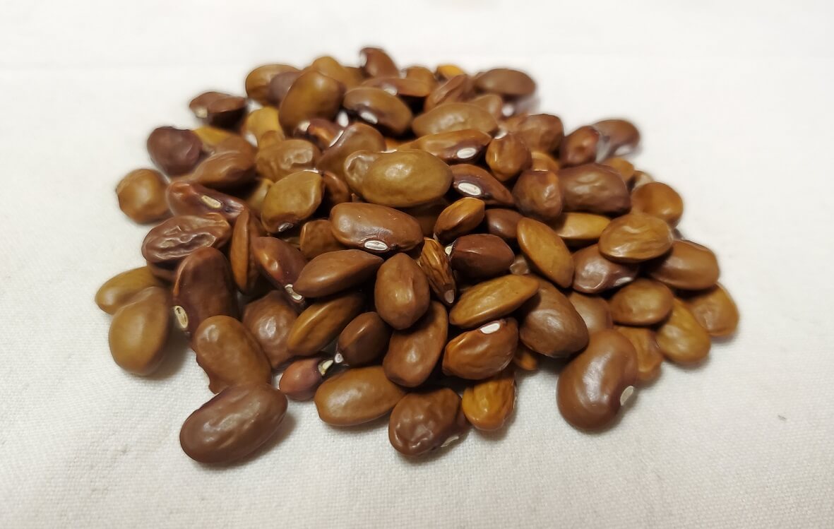 Brown Seeded Pink Tip Half Runner