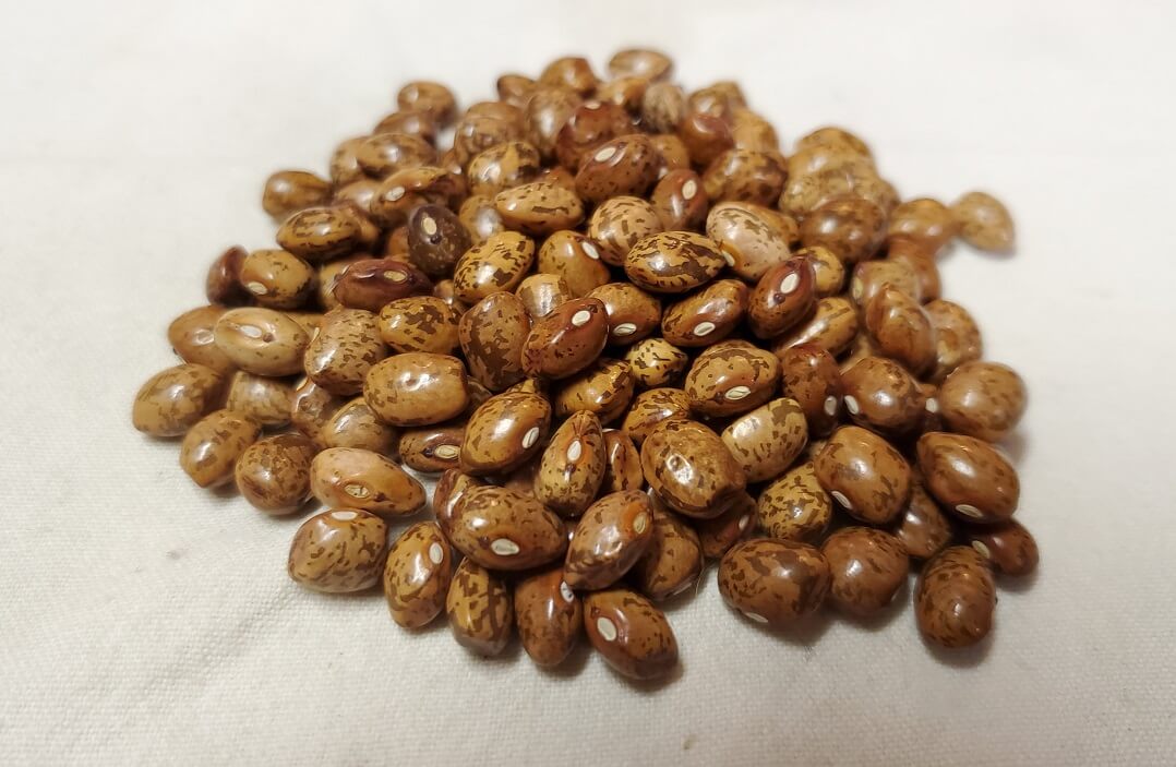 Brown Speckled Greasy