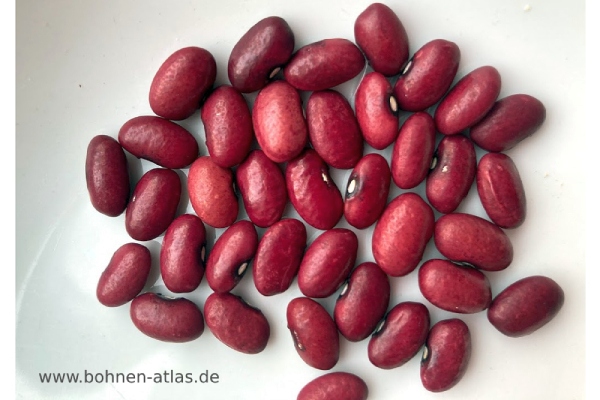 Red Slippery Silk