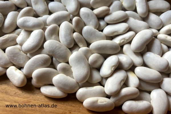 Grüne Schwertstangenbohne aus Rumänien