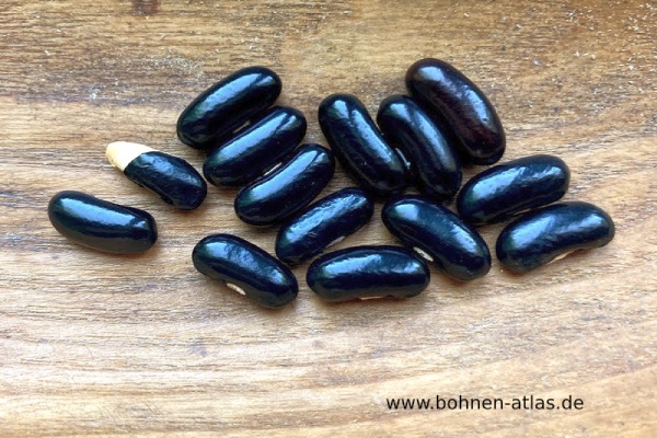 Schwarze aus Südafrika