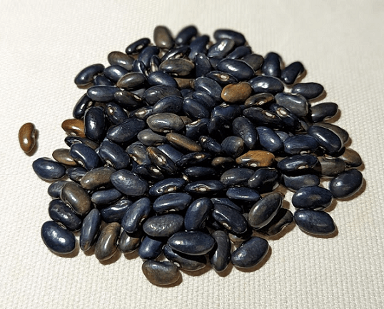 Beaumont's Gray Creaseback