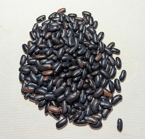 Black Cornfield