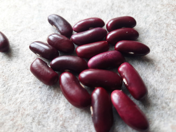 Rote aus Zeil am Main