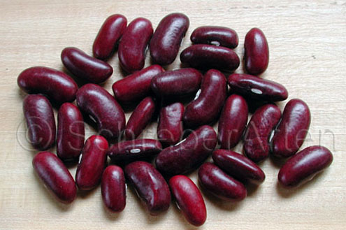 Rote Montezuma