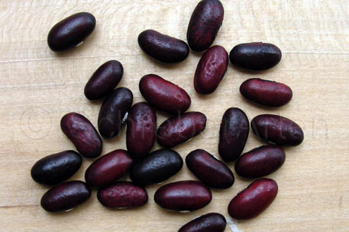 Schwarzblaue Kidney