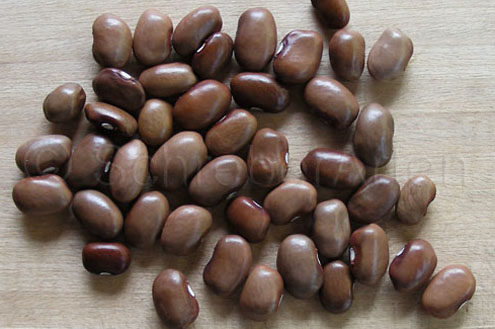 Tarahumara Cafe