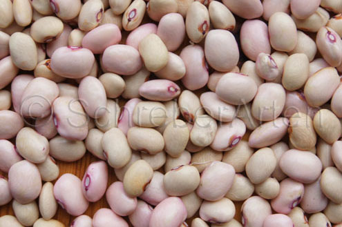 Vadito Bolita