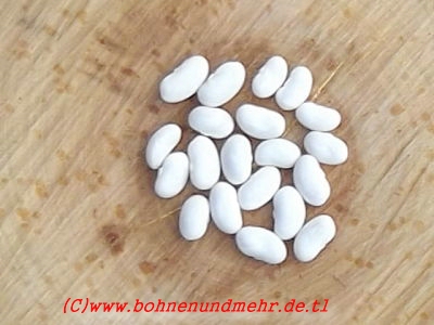 Rumänische Schwertstangenbohne