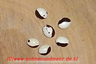 Starazagorsky (schwarz, bzw. rot)