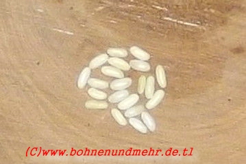 Ungarische Reisbohne