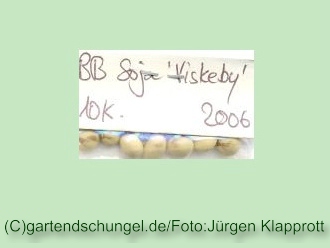 Viskeby (Sojabean)
