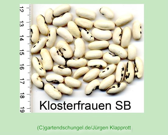 Klosterfrauen