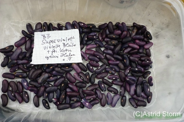 Superviolett